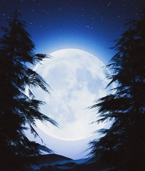 Escena de la Luna sobre el bosque — Foto de Stock