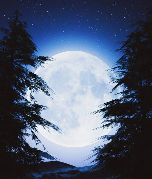 Scene of the Moon above the forest,3d rendering