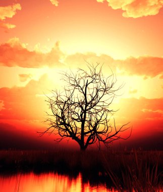 Çim alanında ölü çalı, 3d render