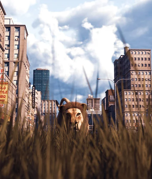 Лев ходит по травяному полю в заброшенном городе, 3d рендеринг — Бесплатное стоковое фото