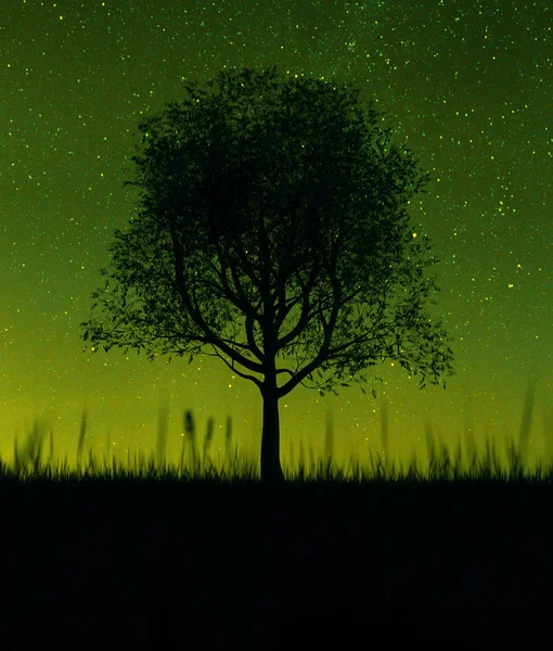 Силуэт дерева в травяном поле на ночном небе, 3D рендеринг — стоковое фото