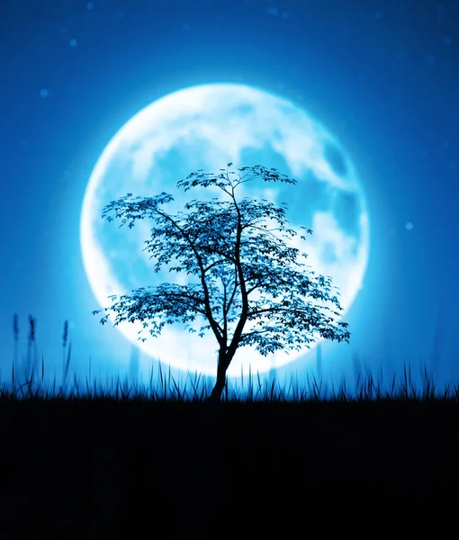 Árvore no campo de grama à noite contra a Lua, renderização 3d — Fotografia de Stock