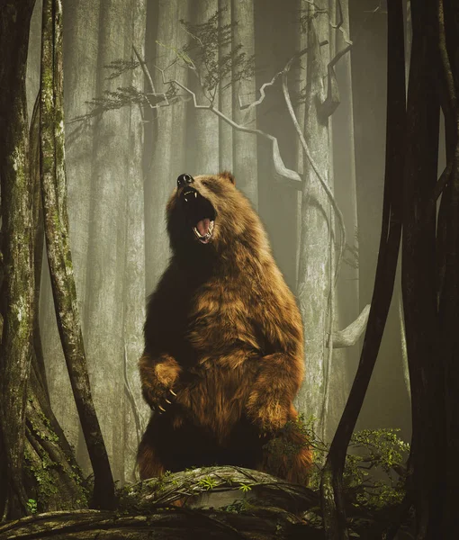 Brązowy niedźwiedź grizzly w magicznym lesie — Zdjęcie stockowe