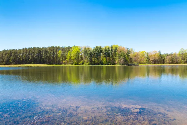 美丽的湖与森林反射在晴朗的春天天 乡村春天风景 — 图库照片