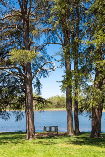 Lindo Lago Floresta Dia Ensolarado Primavera Paisagem Primavera País — Fotografia de Stock