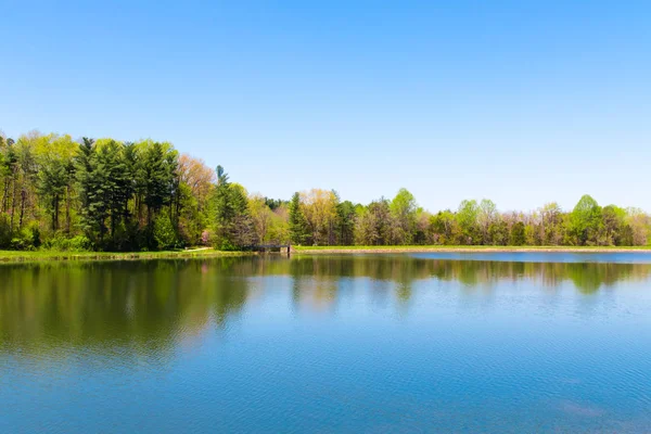 Vacker Sjö Med Skog Reflektion Solig Vårdag Landet Våren Landskap — Stockfoto