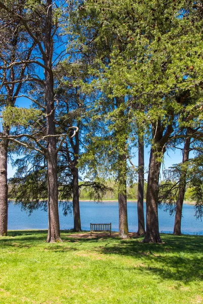 Prachtig Meer Bos Zonnige Lentedag Land Lente Landschap — Stockfoto