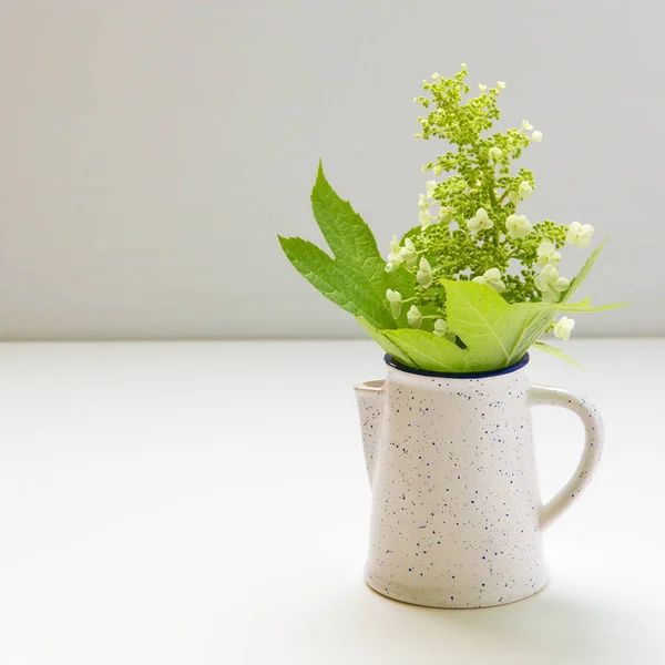 Hortenzia Virág Virág Kis Kancsó — Stock Fotó