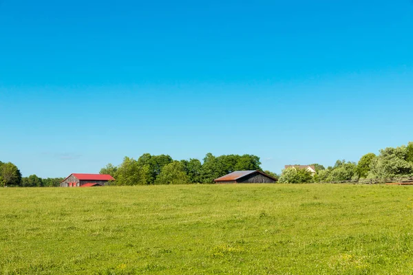 Pastos Verdes Granjas Caballos Pais Verano Paisaje — Foto de Stock