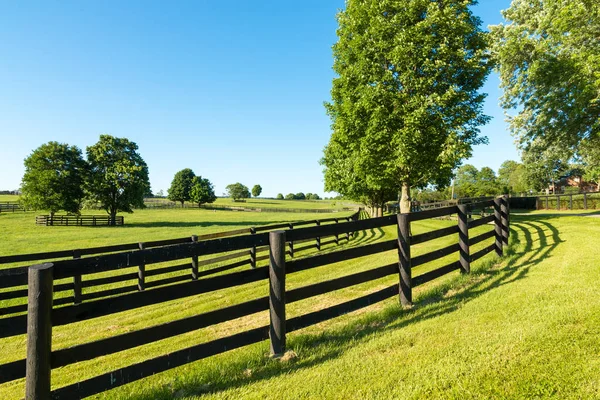 Green Pastures Horse Farms Country Summer Landscape — Stock Photo, Image