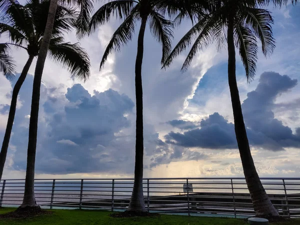 Obloha Mraky Bouři Tropické Pláže Palmami — Stock fotografie