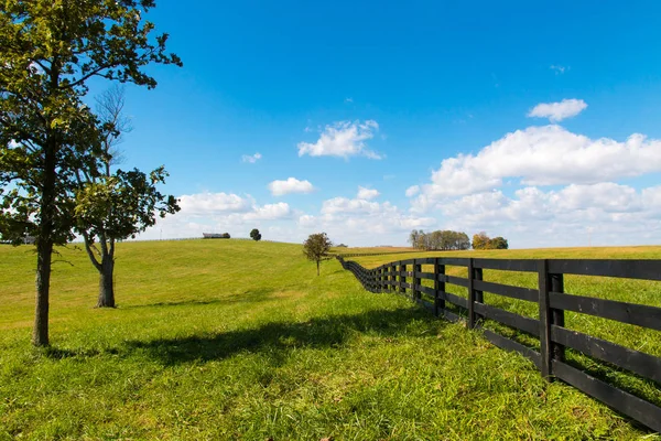 Pascoli Verdi Allevamenti Cavalli Paesaggio Rurale — Foto Stock