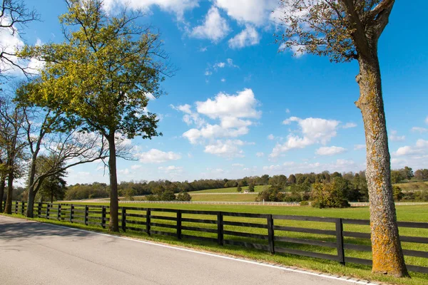 Country Road Horse Farms — Stock Photo, Image