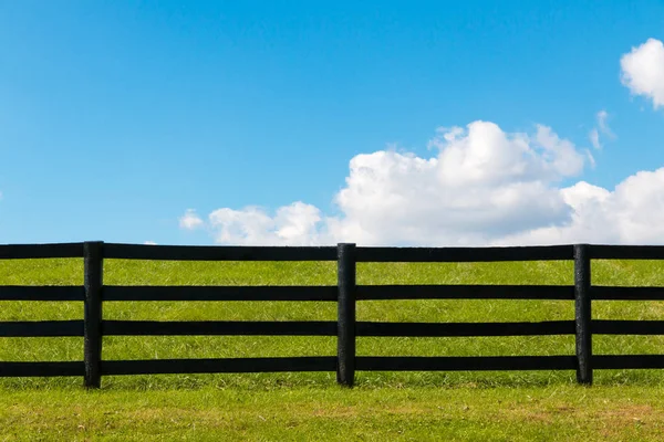 黒の木製のフェンスと緑の牧草地の馬の農場 国の風景 — ストック写真