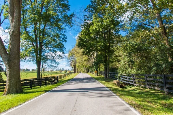 Country Road Forse Farms — Stock Photo, Image