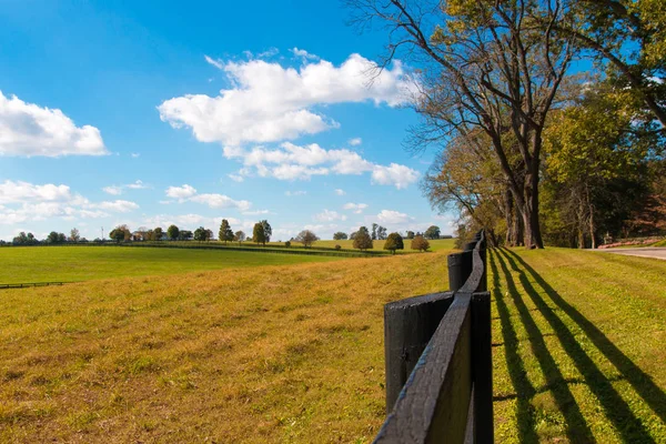 馬の農場の緑の牧草地 国の風景 — ストック写真