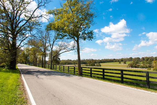 Country Road Forse Farms — Stock Photo, Image