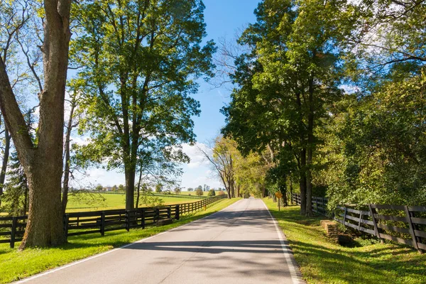 Country road along forse farms. — Stock Photo, Image