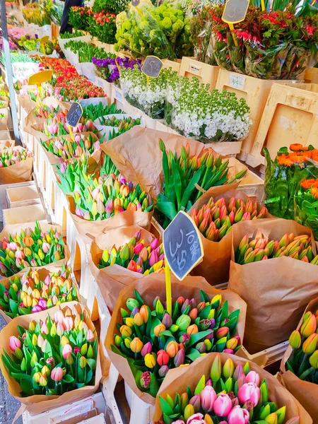Flowers market in Amsterdam. Royalty Free Stock Photos
