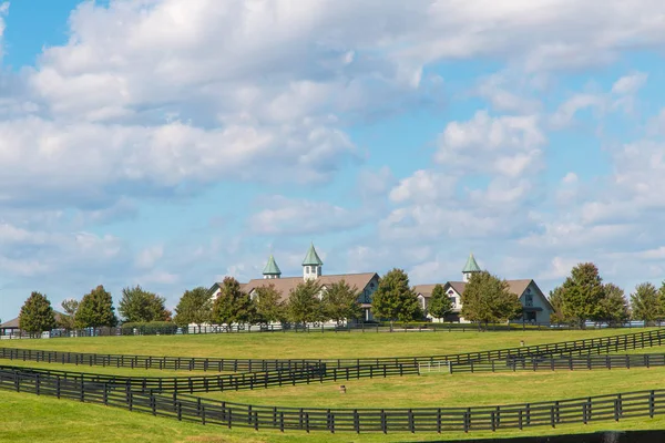 馬の農場の緑の牧草地。国の風景. — ストック写真