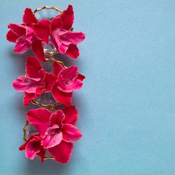 Gladiolus květy na pozadí texturované papíru s prostorem kopírování. — Stock fotografie
