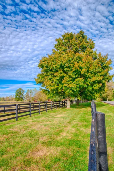 Paisagem rural bonita com árvore colorida e pastos de h — Fotografia de Stock