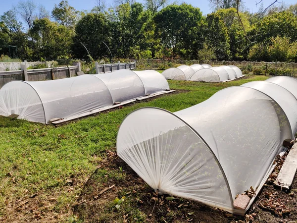 Small greenhouses with growing plants. — Stock Photo, Image