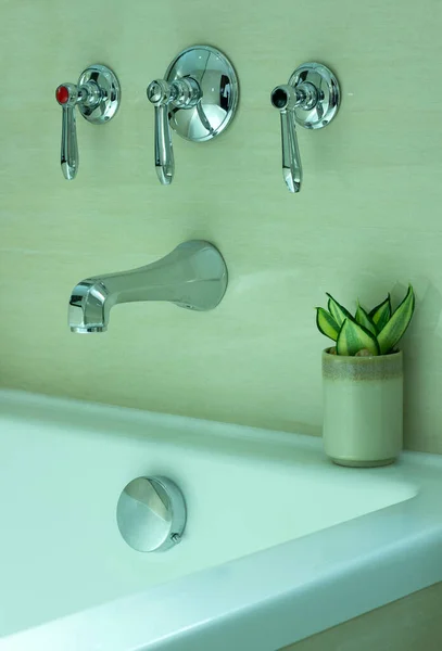 Modern Bathtub Faucet Potted Plant Decorative Bathroom — Stock Photo, Image