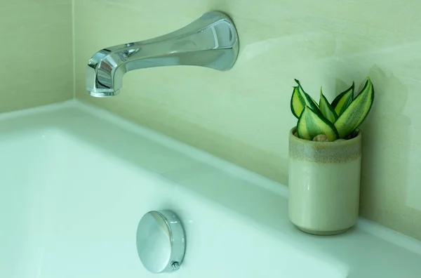 Rubinetto Moderno Della Vasca Bagno Decorazione Vegetale Vaso Bagno — Foto Stock