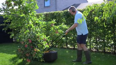 Bir adam bahçesindeki çimleri makineyle kesiyor.