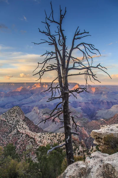 Nascer Sol Mather Point Grand Canyon National Park Arizona Foto — Fotografia de Stock