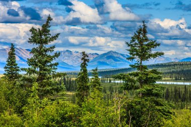 Alaska'da manzara dağının muhteşem manzarası. Doğanın tarifsiz güzelliği!