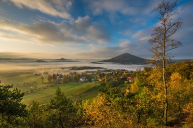 Soğuk sisli sisli sabah bir sonbahar bohem İsviçre vadi park. Hills sis, manzara Çek Cumhuriyeti ile