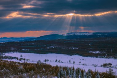 Soğuk sisli sisli sabah bir sonbahar bohem İsviçre vadi park. Hills sis, manzara Çek Cumhuriyeti ile