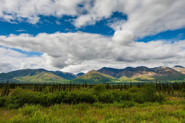 Vista Incrível Montanha Paisagem Alasca Beleza Indescritível Natureza — Fotografia de Stock