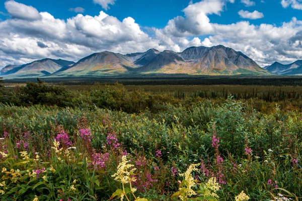 Increíble Vista Montaña Del Paisaje Alaska Belleza Indescriptible Naturaleza — Foto de Stock