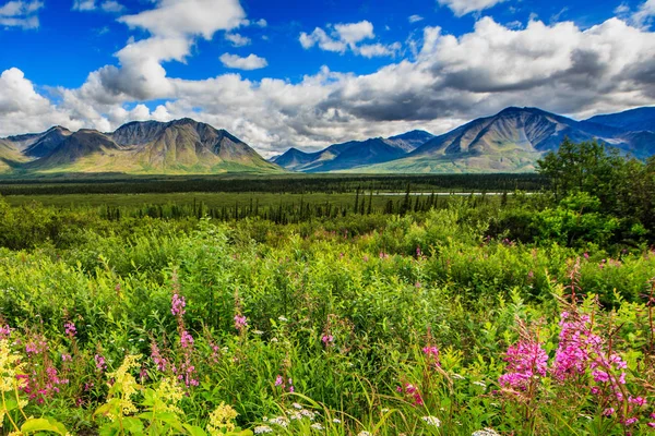 Increíble Vista Montaña Del Paisaje Alaska Belleza Indescriptible Naturaleza — Foto de Stock