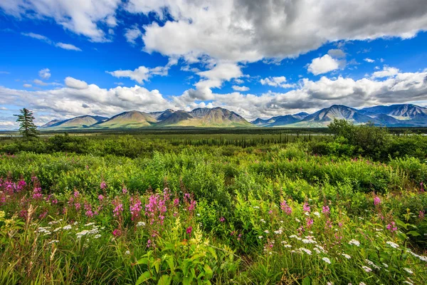 Vista Incrível Montanha Paisagem Alasca Beleza Indescritível Natureza — Fotografia de Stock