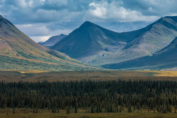 Atemberaubende Aussicht Auf Die Landschaft Berg Alaska Unbeschreibliche Schönheit Der — Stockfoto