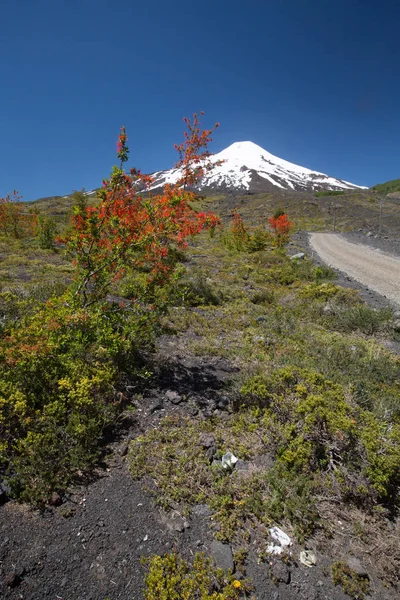 Vista Panorámica Del Volcán Villarrica Chile Atardecer Patagonia — Foto de Stock