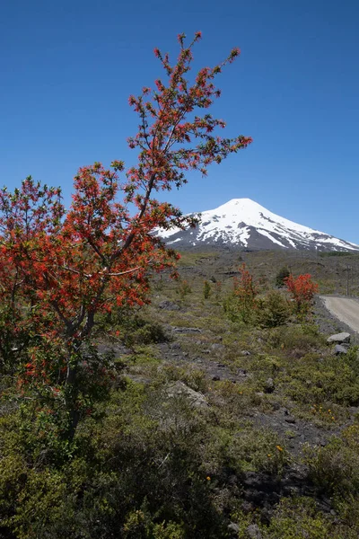 Vista Panorámica Del Volcán Villarrica Chile Atardecer Patagonia — Foto de Stock