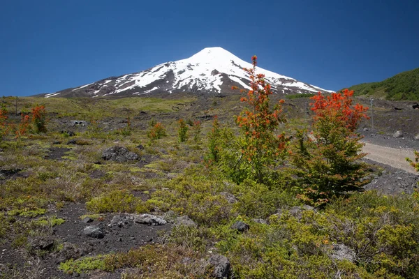 Malerischer Blick Auf Den Vulkan Villarrica Chile Patagonien Sonnenuntergang — Stockfoto