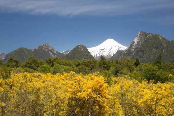 Şili Patagonya Günbatımı Villarrica Yanardağı Doğal Görünümü — Stok fotoğraf