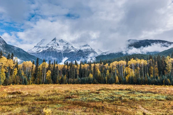 Vista Panorâmica Monte Revelstoke Montanhas Rochosas Colúmbia Britânica Canadá — Fotografia de Stock