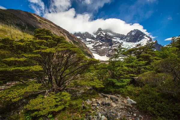 Torres Del Paine Chile Laguna Torres Berömda Landmärke Patagonien Sydamerika — Stockfoto