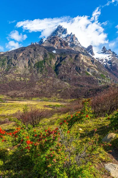 Torres Del Paine Chile Laguna Torres Berömda Landmärke Patagonien Sydamerika — Stockfoto