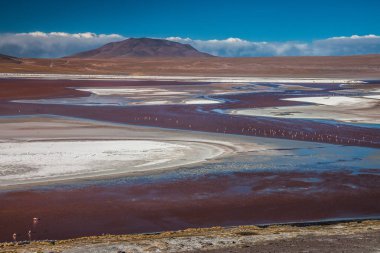 Laguna Colorada, Bolivya 'nın Altiplano bölgesinin güneybatısında bulunan sığ bir tuz gölüdür.