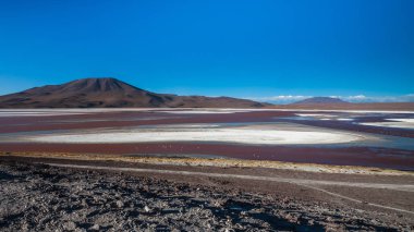 Laguna Colorada, Bolivya 'nın Altiplano bölgesinin güneybatısında bulunan sığ bir tuz gölüdür.