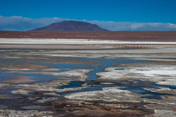 Laguna Colorada, means Red Lake is a shallow salt lake in the southwest of the Altiplano of Bolivia