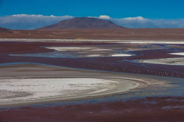 ラグナ コロラダ Laguna Colorada ボリビアのアルティプラノ南西部にある浅い塩湖 — ストック写真
